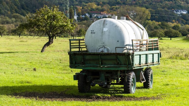 Wassertank entkeimen